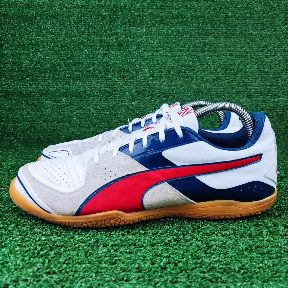 Puma invicto sala